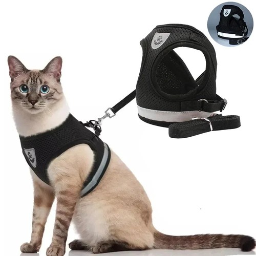 Small dog harness - small, set