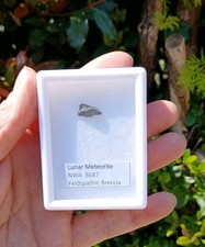 Lunar Meteorite NWA 8687