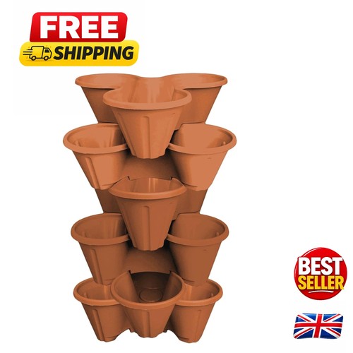 Piece strawberry herb - 6-piece, &