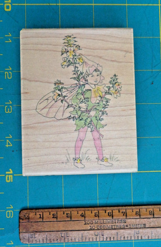 Eyebright flower fairy rubber - flower,