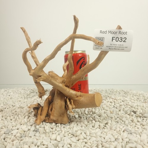 Red moor root aquarium - red,