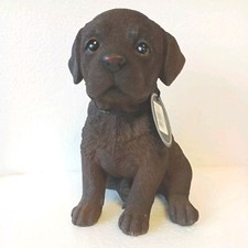 Chocolate Labrador Puppy Pet