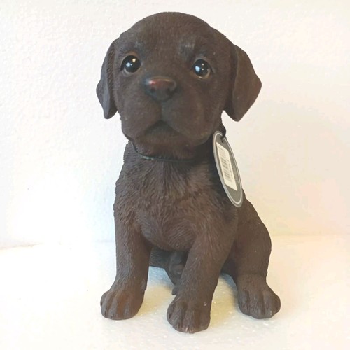Chocolate labrador puppy pet - labrador,