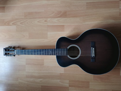 Vintage v880aq acoustic - vintage,