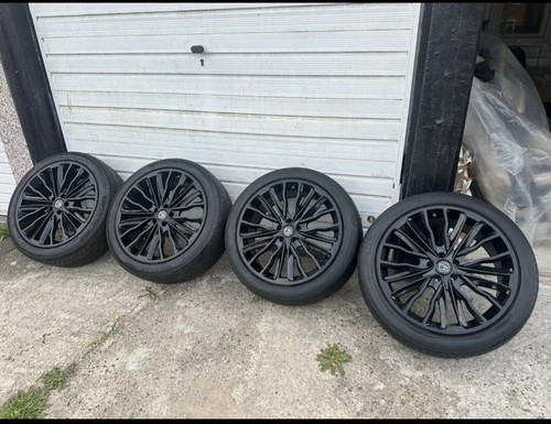 Hawke harrier alloy - harrier,