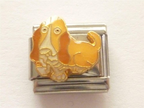 Bassett hound dog classic - hound,