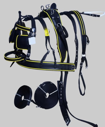 Nylon webbing driving harness - nylon,