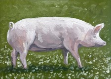 Pig painting original oil - painting,