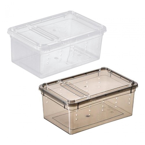 Reptile feeding box - feeding, clear