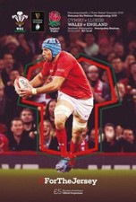 * WALES RUGBY INTERNATIONAL