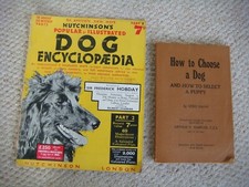 Original How to Choose a Dog