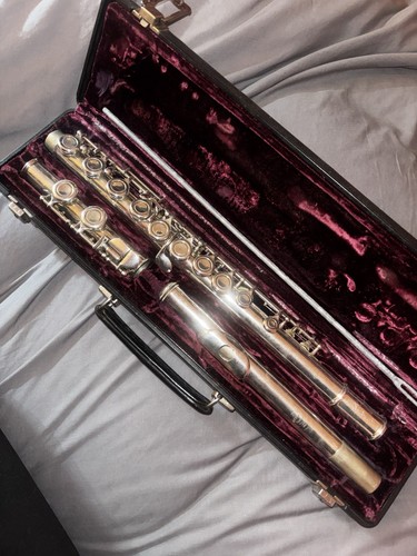 Flute musical instrument with - musical,