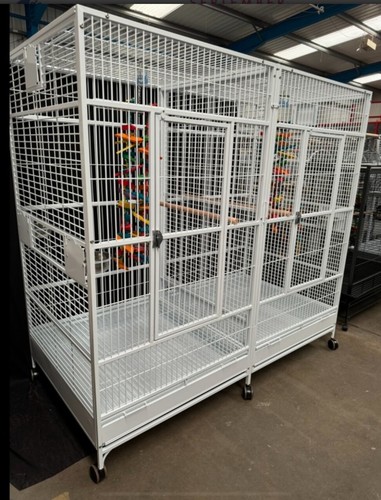 Parrot supplies new - york, large