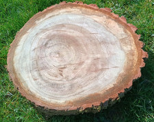 Chopping block cheese board