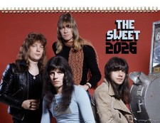 2026 Wall Calendar [8"x12"]