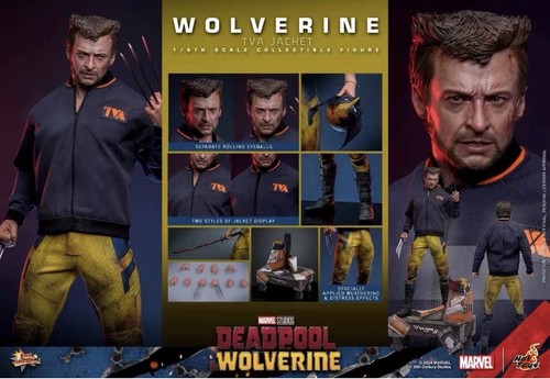 Hot toys wolverine tva - toys,
