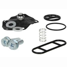 Fuel tank valve repair kit