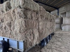 Hay Bales Meadow Hay 2025