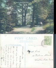 Church Woods Pontypool