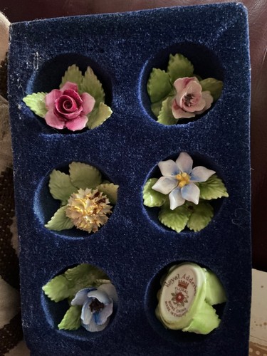 Set royal adderley - of, 6