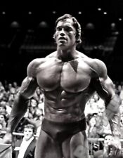 Arnold Schwarzenegger Bodybuilding Mr Olympia Print Poster Wall Art Picture A4 +