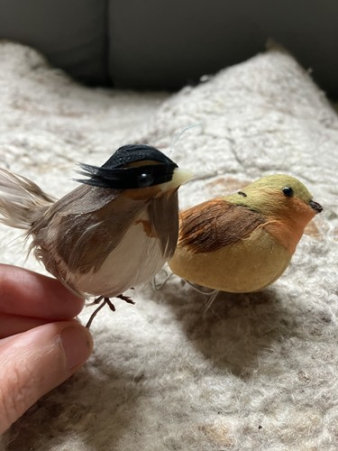 Two feathered bird - , christmas