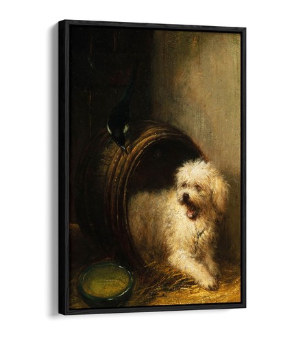 Puppy barrel henriette - puppy, in