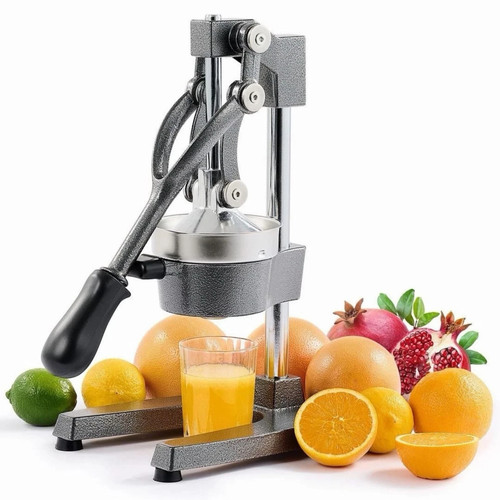 Professional citrus juicer - citrus,