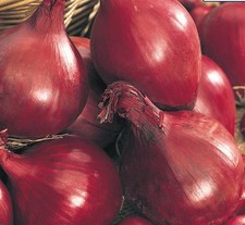 ONION Red Baron Sets