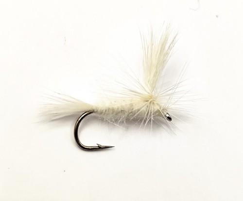 Parachute light cahill dry - parachute,