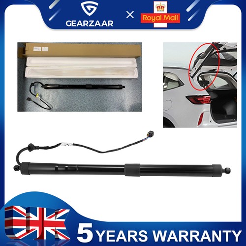 Electric tailgate gas strut - electric,