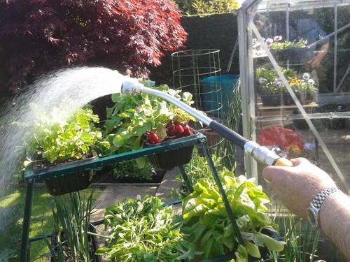 Watering lance professional - watering,