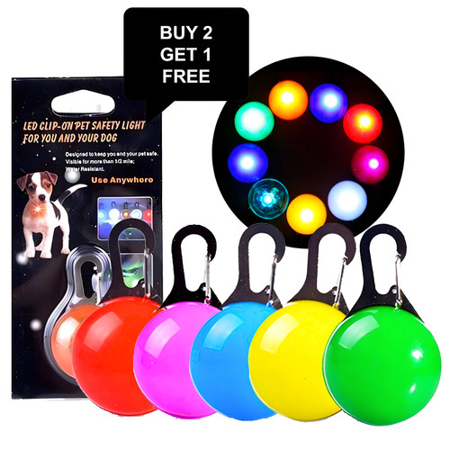 Led dog collar safety - safety, warning