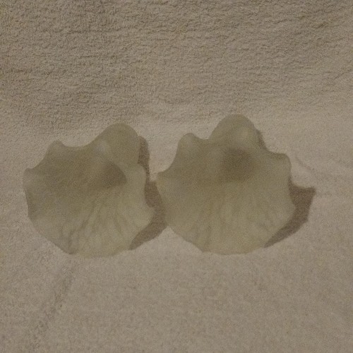 White art deco fluted tulip - art,