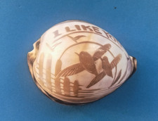 Victorian hand carved cowrie - victorian,