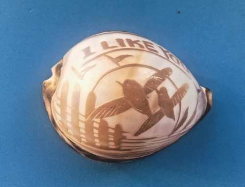 Victorian hand carved - hand, cowrie
