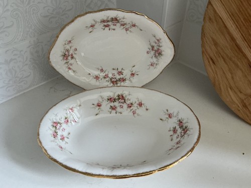 Victoriana rose paragon - victoriana,