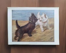 Vintage 1930s Scottish Highland Terriers Dogs Fannie Moody Book Print Picture 