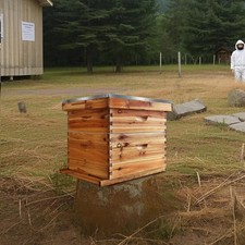 10-Frame Complete Beehive Wax