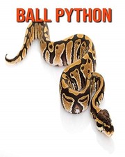 Ball Python: Amazing Facts