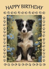 BORDER COLLIE DOG BIRTHDAY