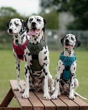 No-Pull Dog Harness Adjustable