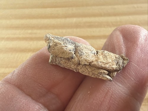 Roman lead curse wish - lead, found