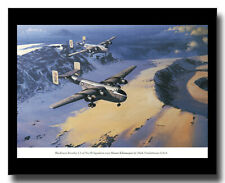 Blackburn Beverley C1s RAF 30 Squadron Kilimanjaro framed picture Postlethwaite