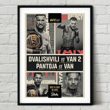 UFC 323 Merab Dvalishvili vs