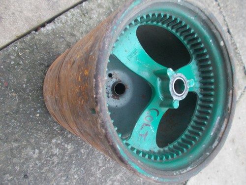 Suffolk colt rear - 30, 12"