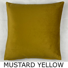 Premium Plush Velvet Cushion