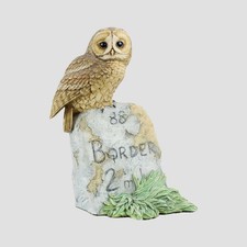 Tawny Owl On Milestone Border