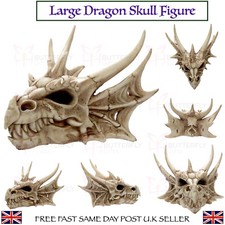Large Horned Dragon Skull