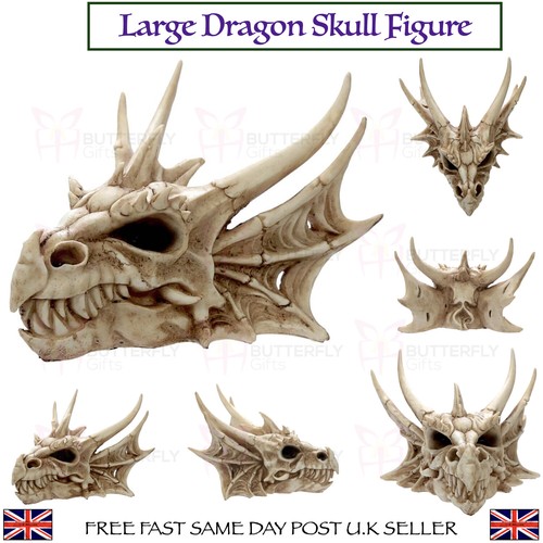Large horned dragon - large, skull